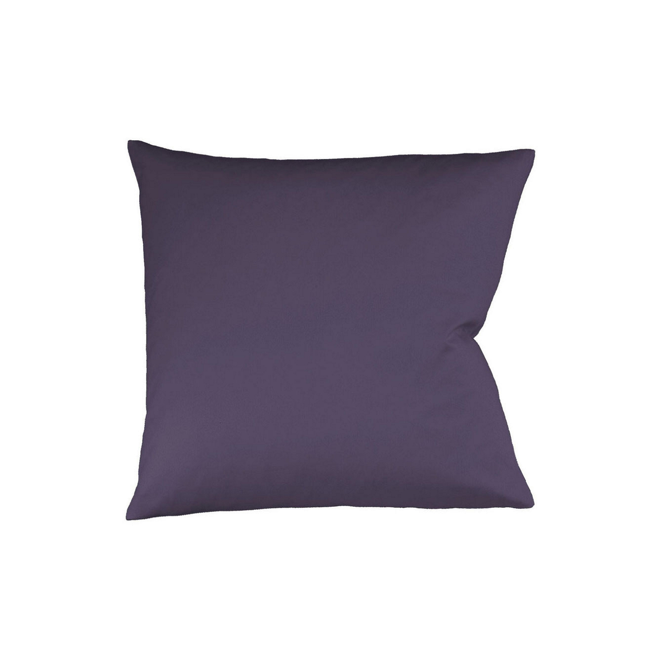 aubergine