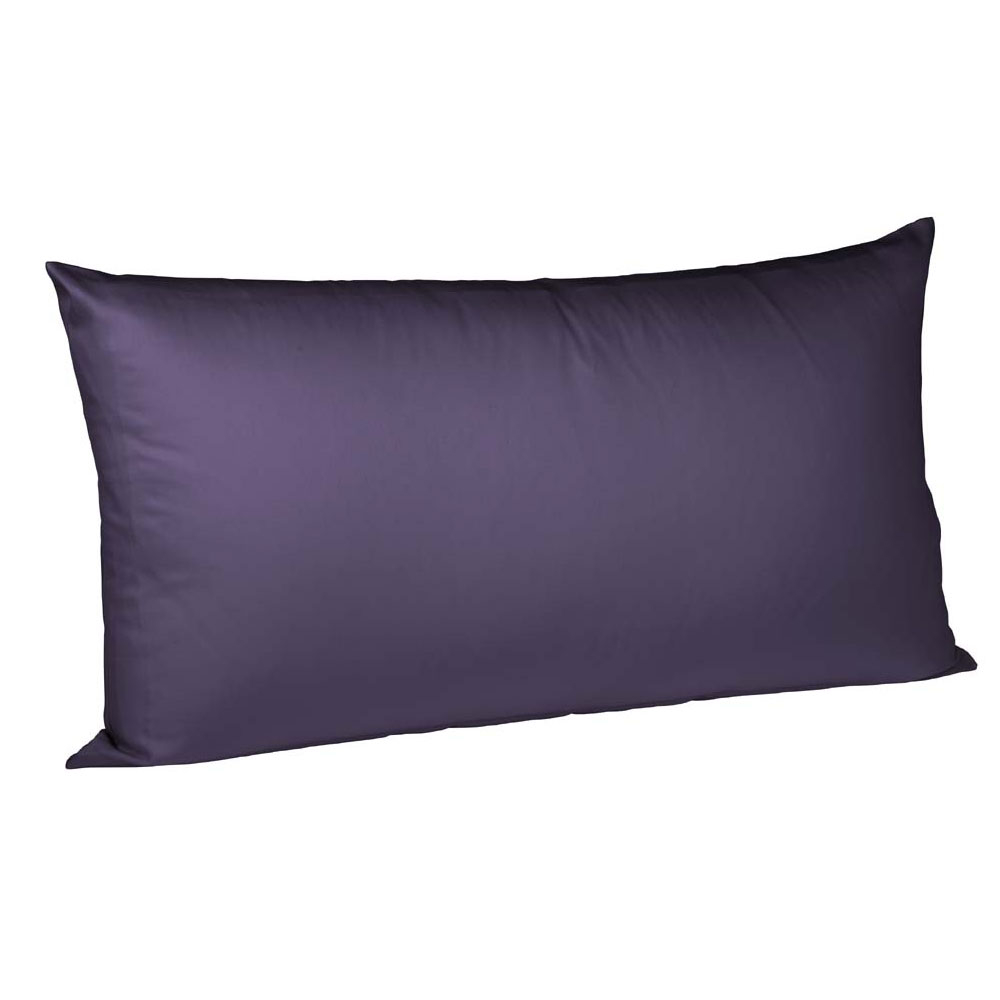 aubergine