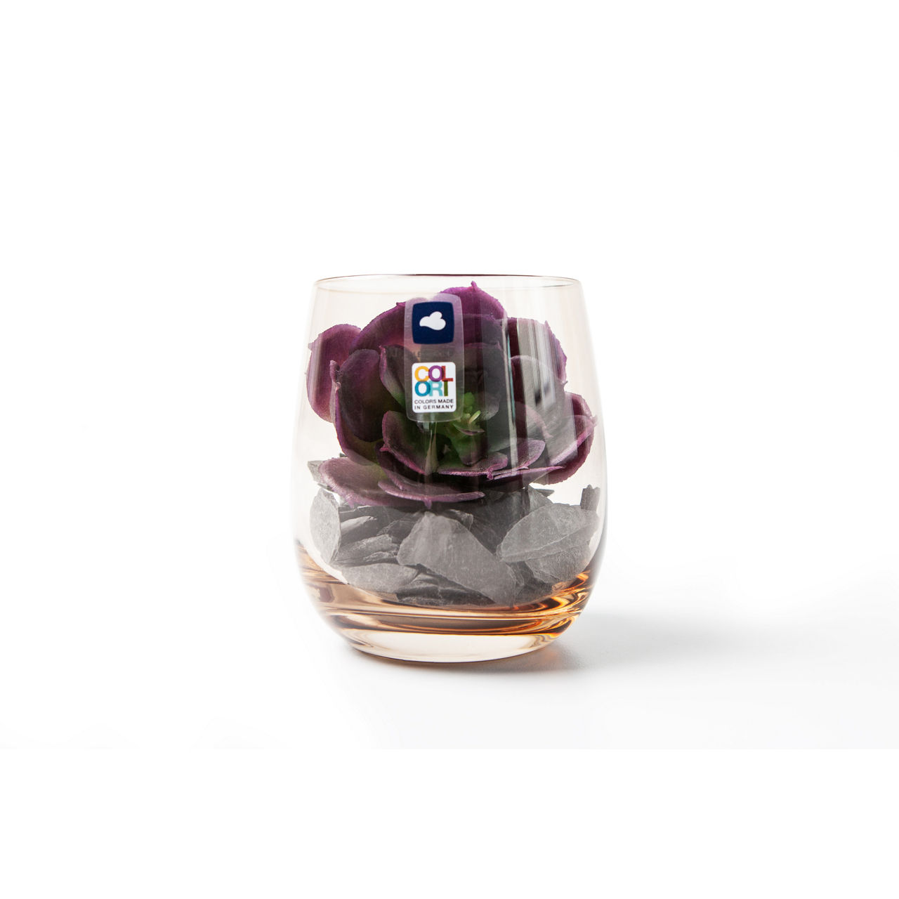  GK/Dekoset 10 marr. Sukkulente MODO undefined