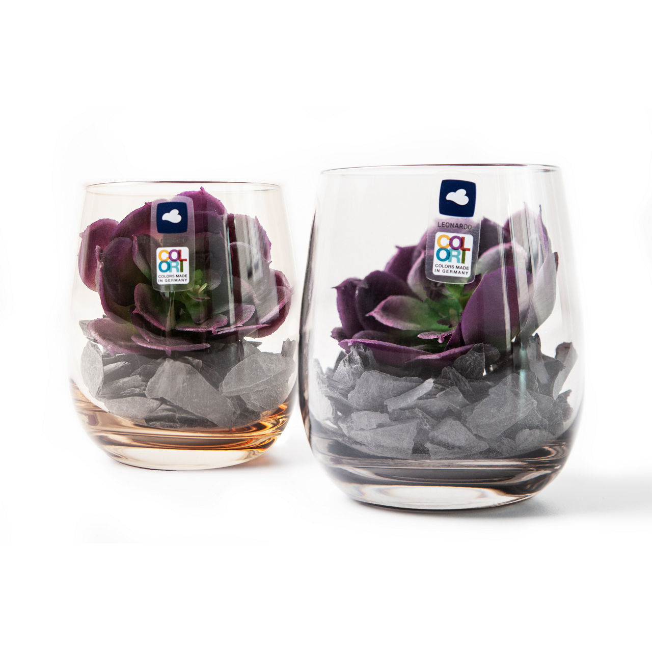  GK/Dekoset 10 marr. Sukkulente MODO 1