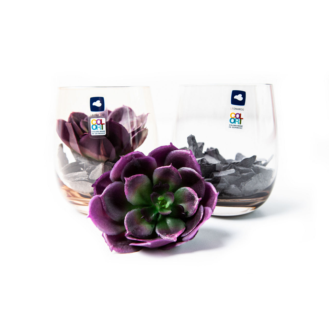  GK/Dekoset 10 marr. Sukkulente MODO 2