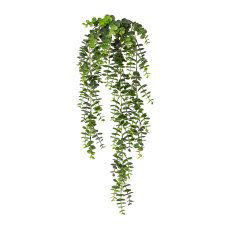  Eucalyptus-Hängezweig 