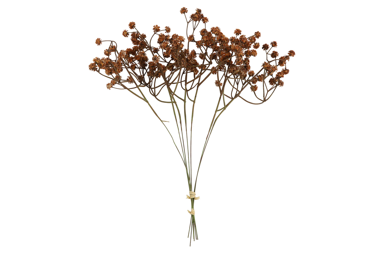  Deko Bündel Gypsophila 0