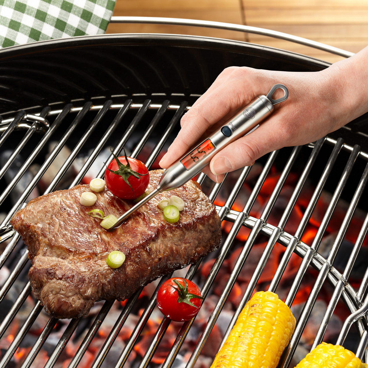 Digital-Thermometer BBQ BBQ 1