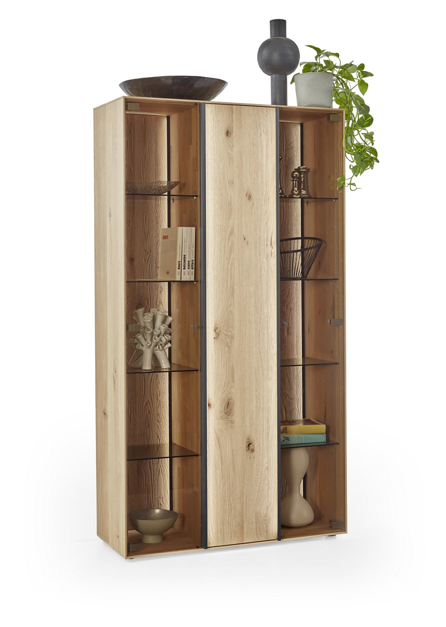  Standvitrine Anea