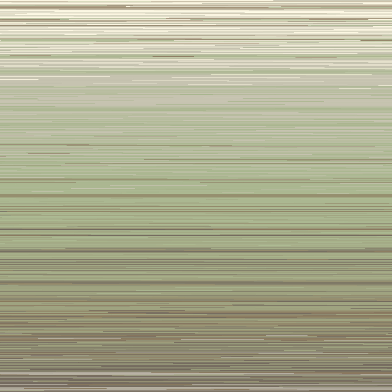   Basic Soft