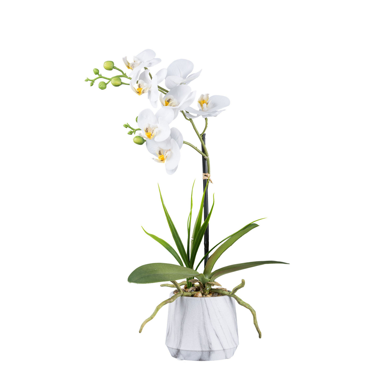  Orchidee im Melamintopf  undefined