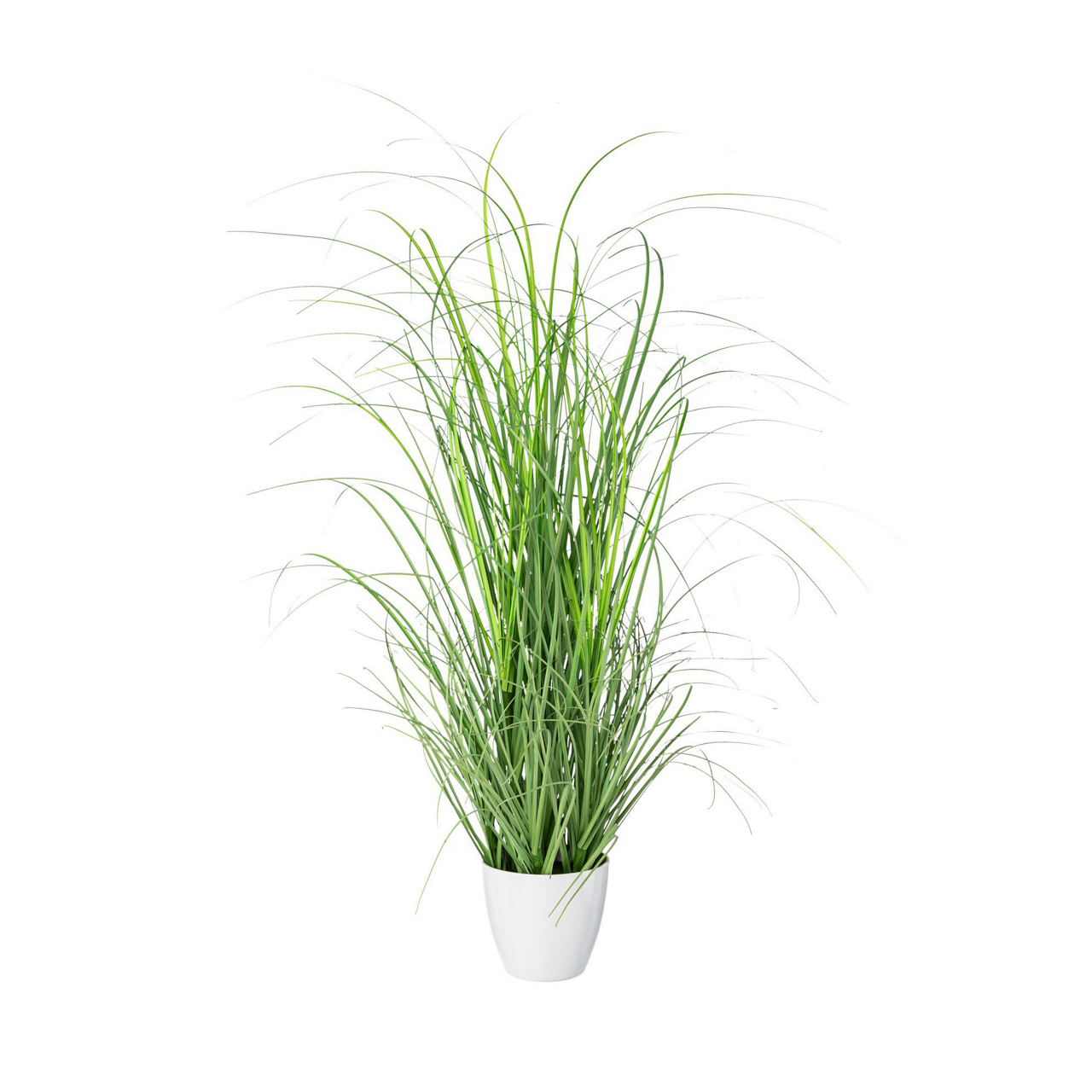  Gras im weißen Melamintopf 