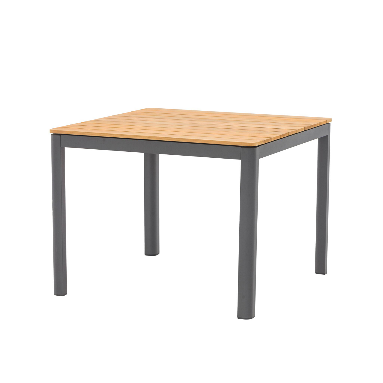  Tisch Bee