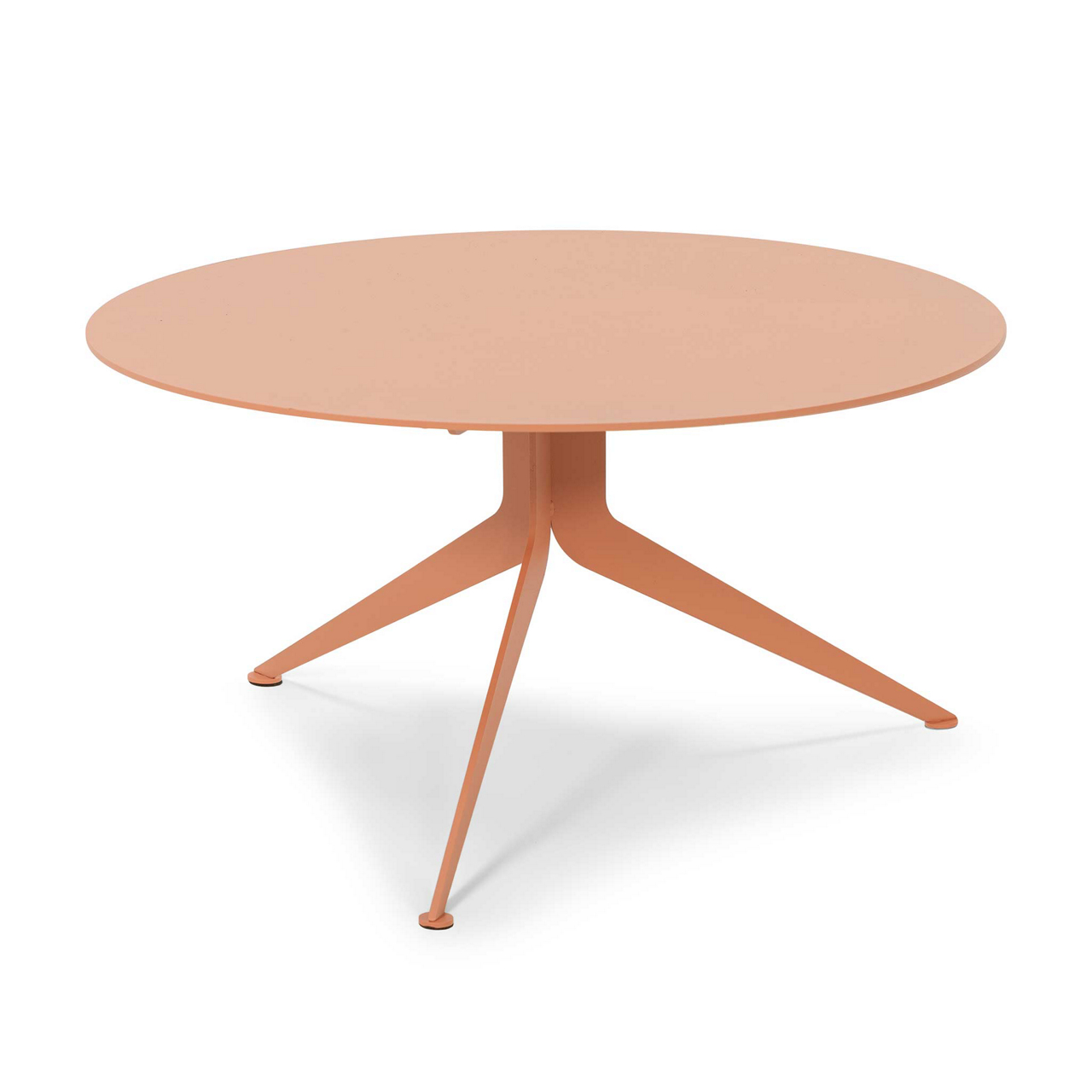  Coffee table Daley
