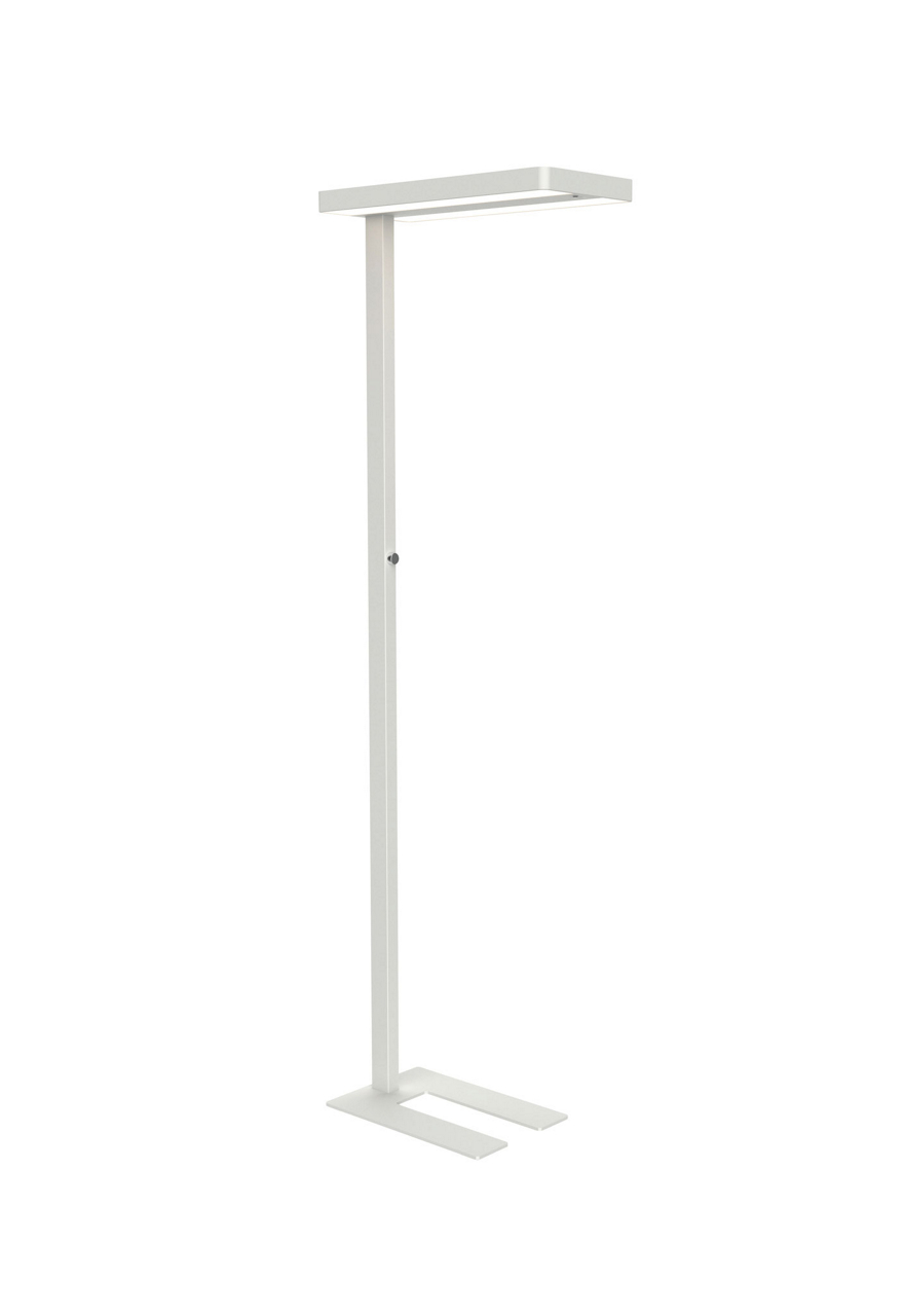  LED-Standleuchte MAULjuvis
