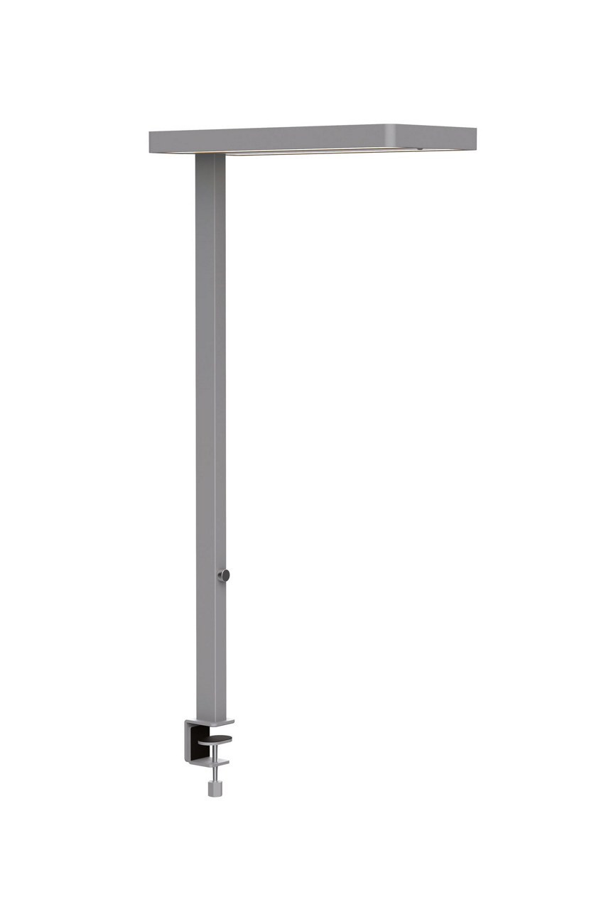  LED-Standleuchte MAULjuvis