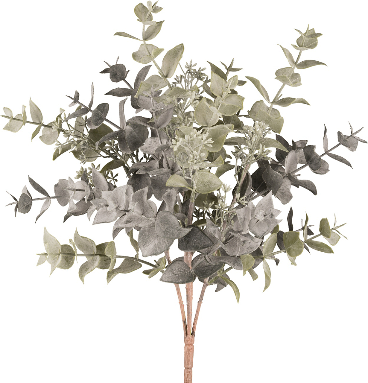  Eukalyptusbusch 1124800-20 undefined