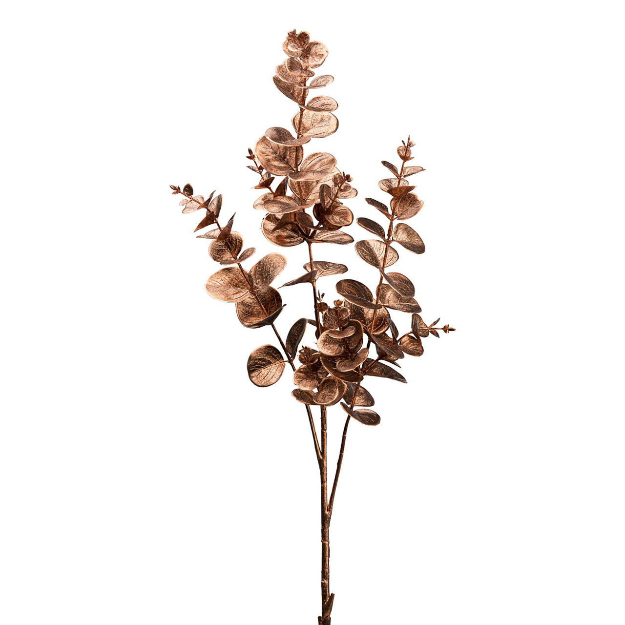  Eucalyptuszweig 1323502-38 undefined