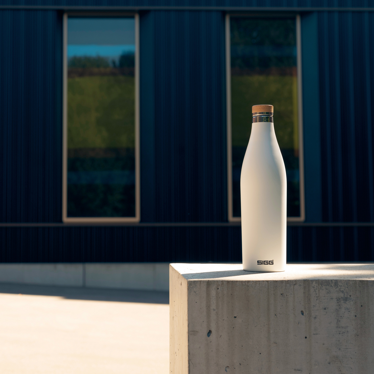  Trinkflasche Meridian 2