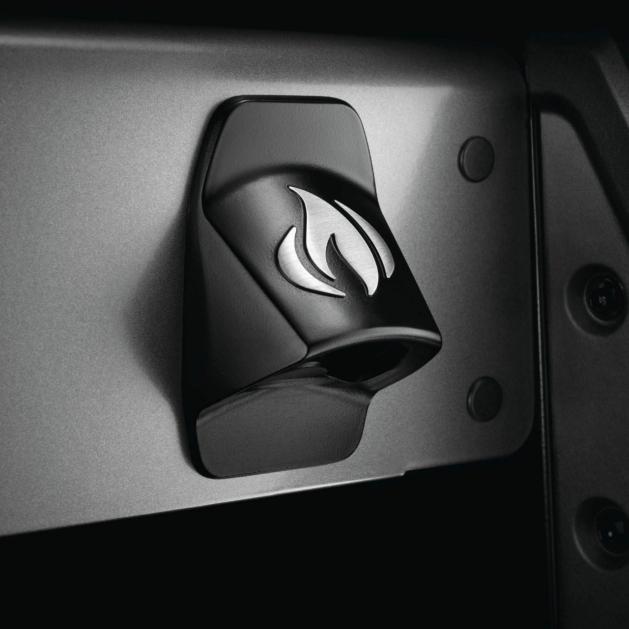  Napoleon Gasgrill F425SIBPGT-DE, 4