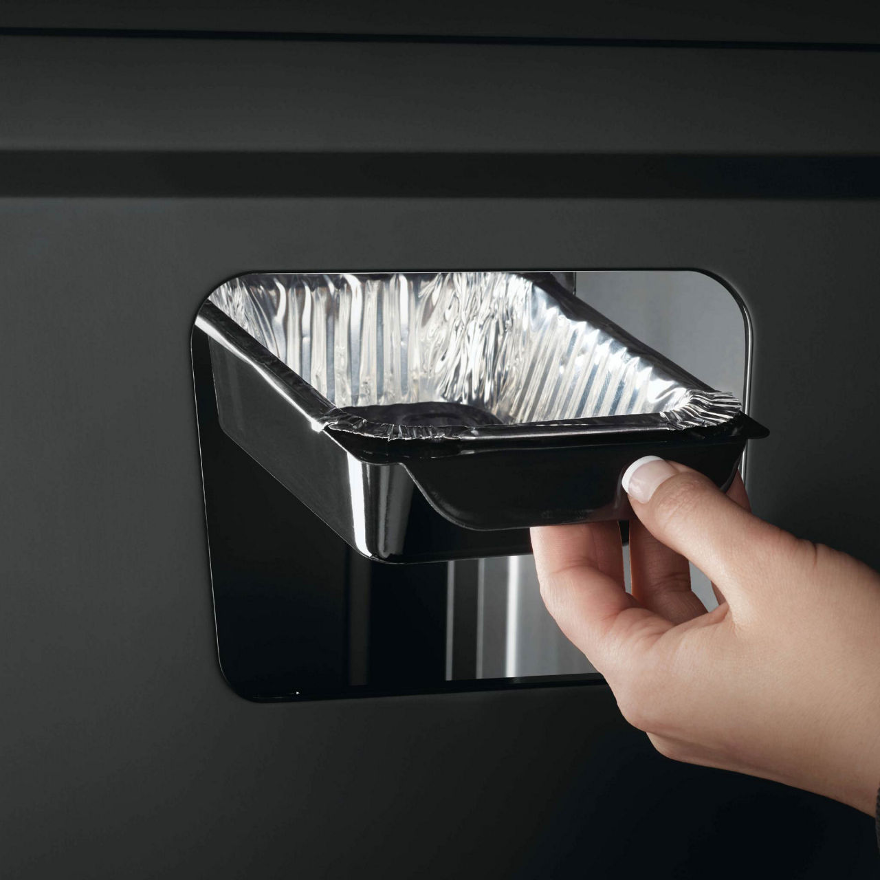  Napoleon Gasgrill F425SIBPGT-DE, 6