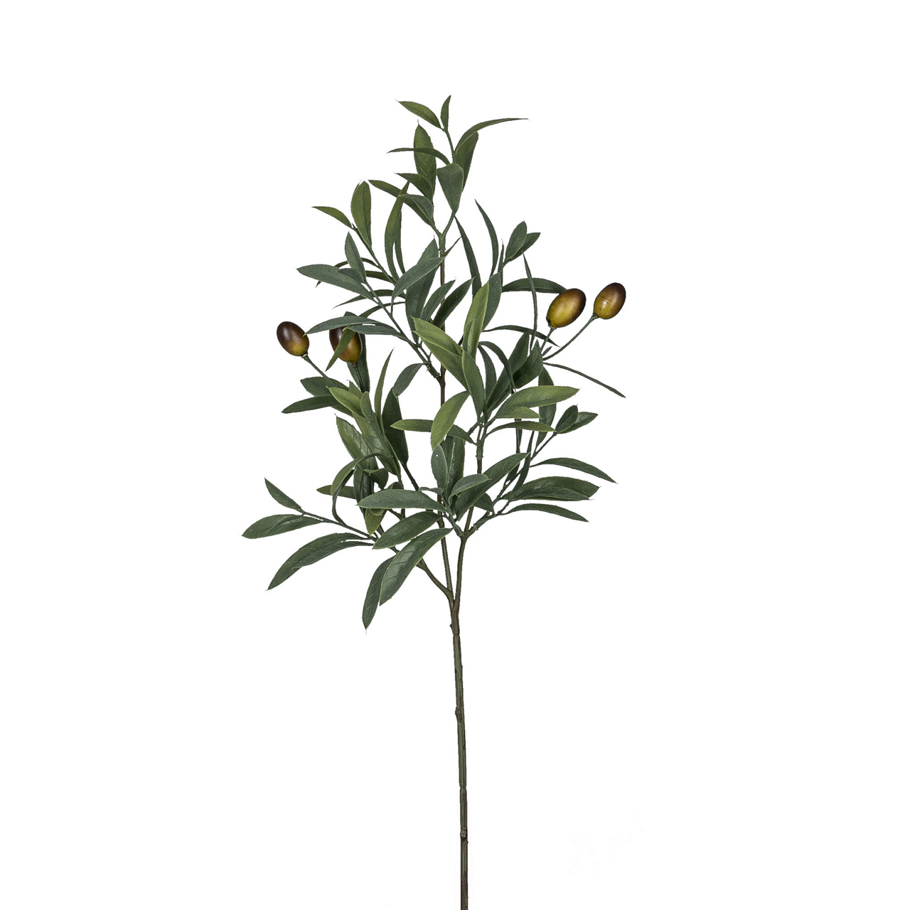 1125049-50 Olivenzweig 56cm, grün  