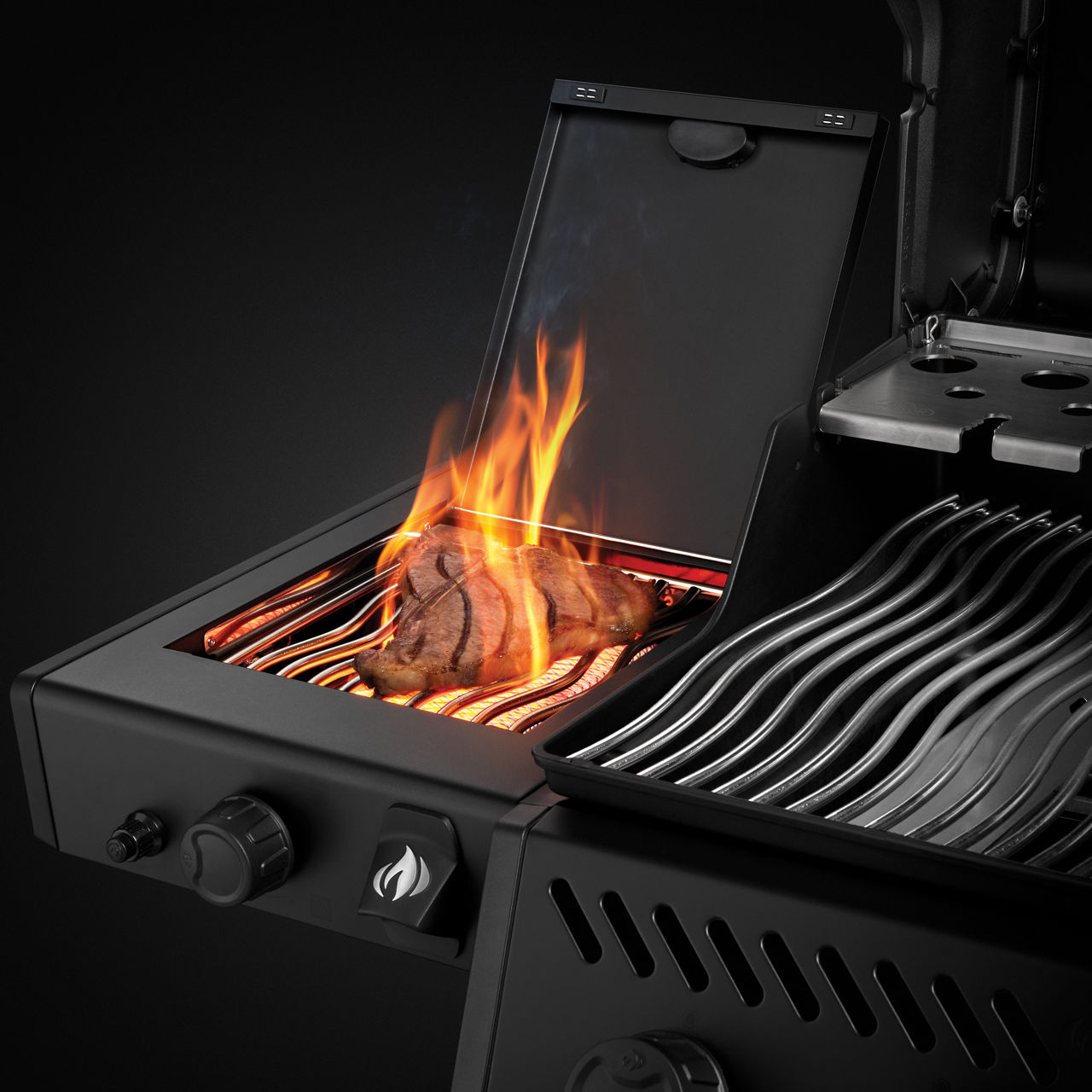  Propangasgrill F425DSIBPK-PHM, 5