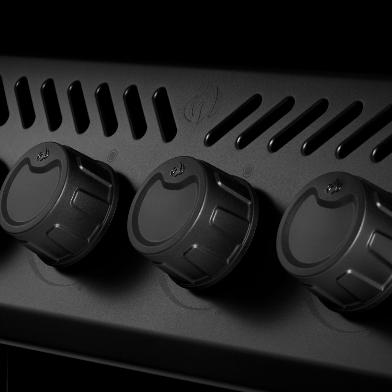  Propangasgrill F425DSIBPK-PHM, 6