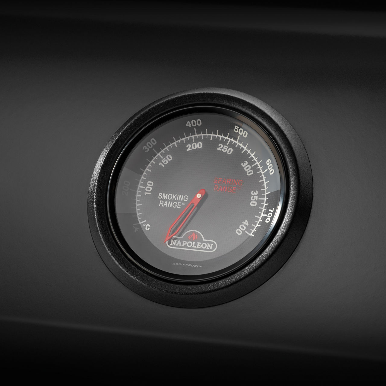  Propangasgrill F425DSIBPK-PHM, 7