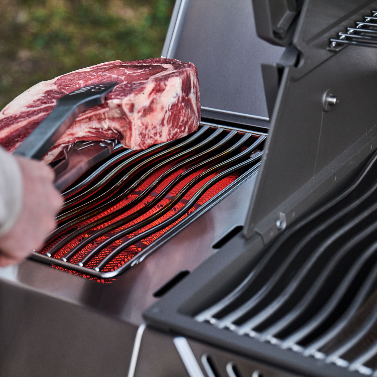 Napoleon Gasgrill P500VXRSIBPSS-DE