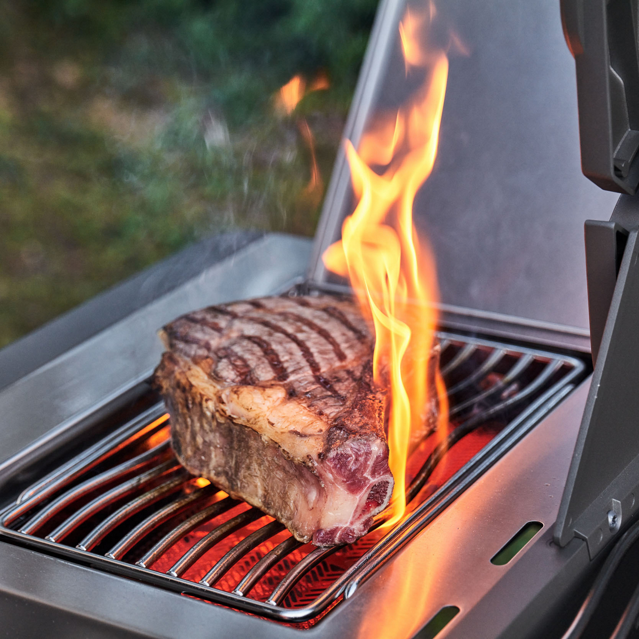 Napoleon Gasgrill P500VXRSIBPSS-DE