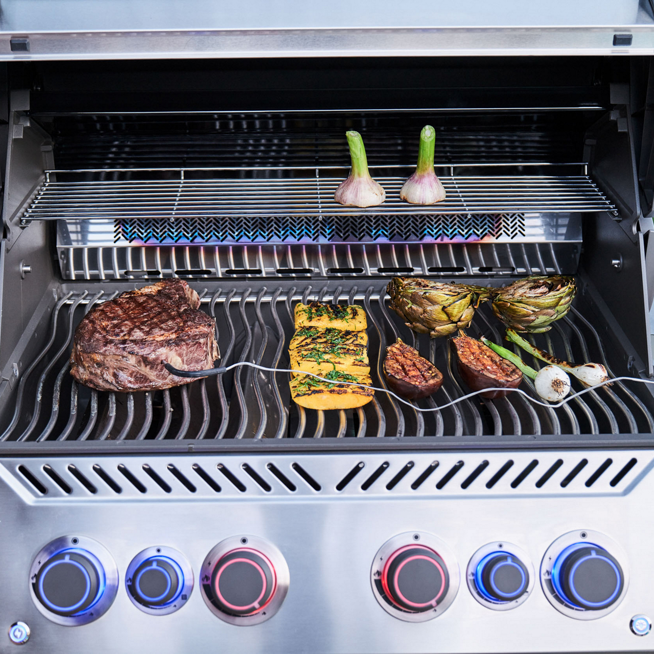 Napoleon Gasgrill P500VXRSIBPSS-DE