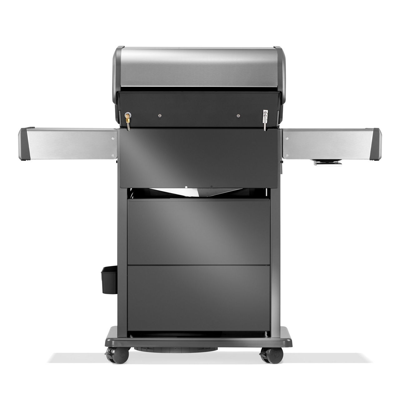  Gasgrill RPS425RSIBPSS-2-DE 2