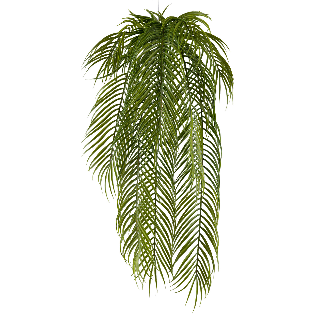 3324558-50 Palmblatthänger x9, 80cm grün 