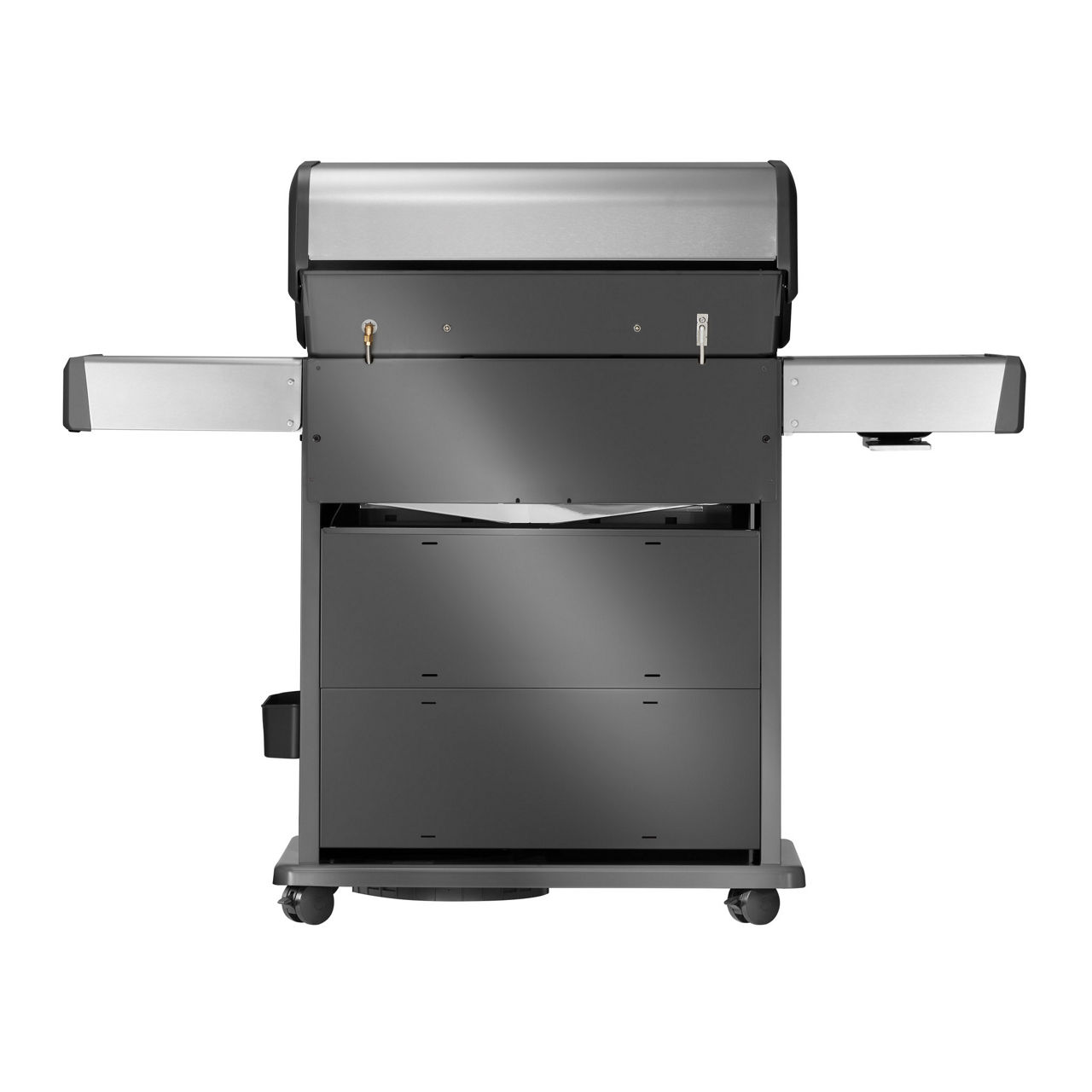  Gasgrill RPS525RSIBPSS-2-DE 2