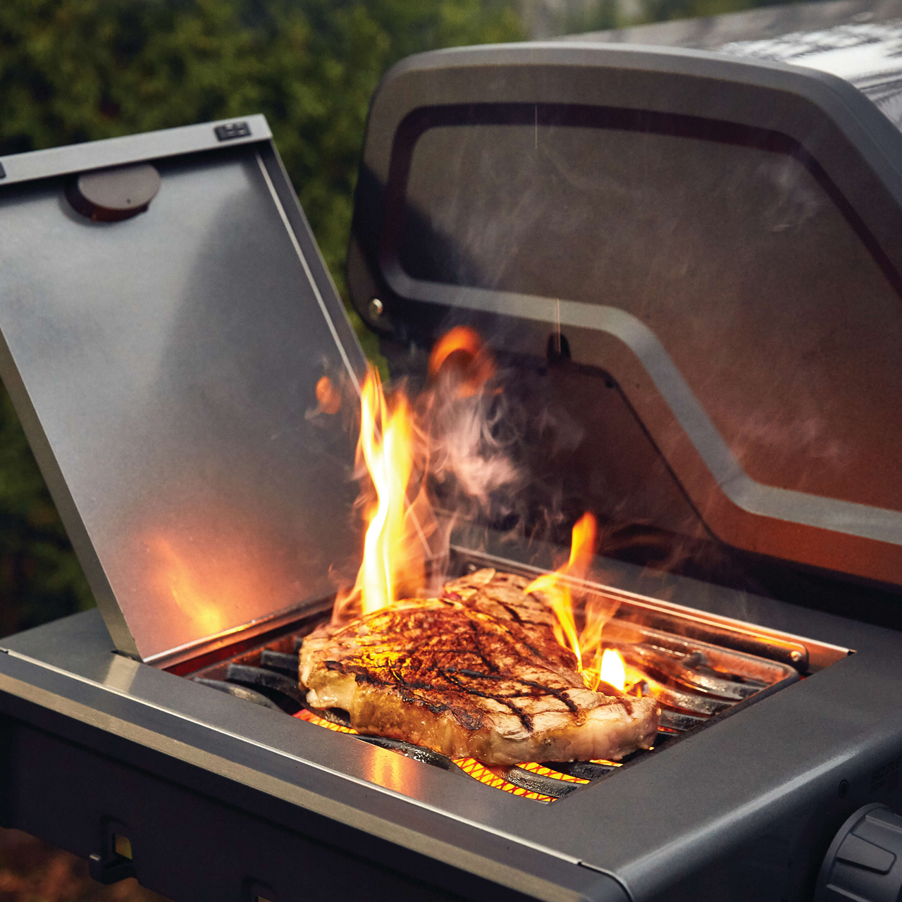  Gasgrill Freestyle 365 5