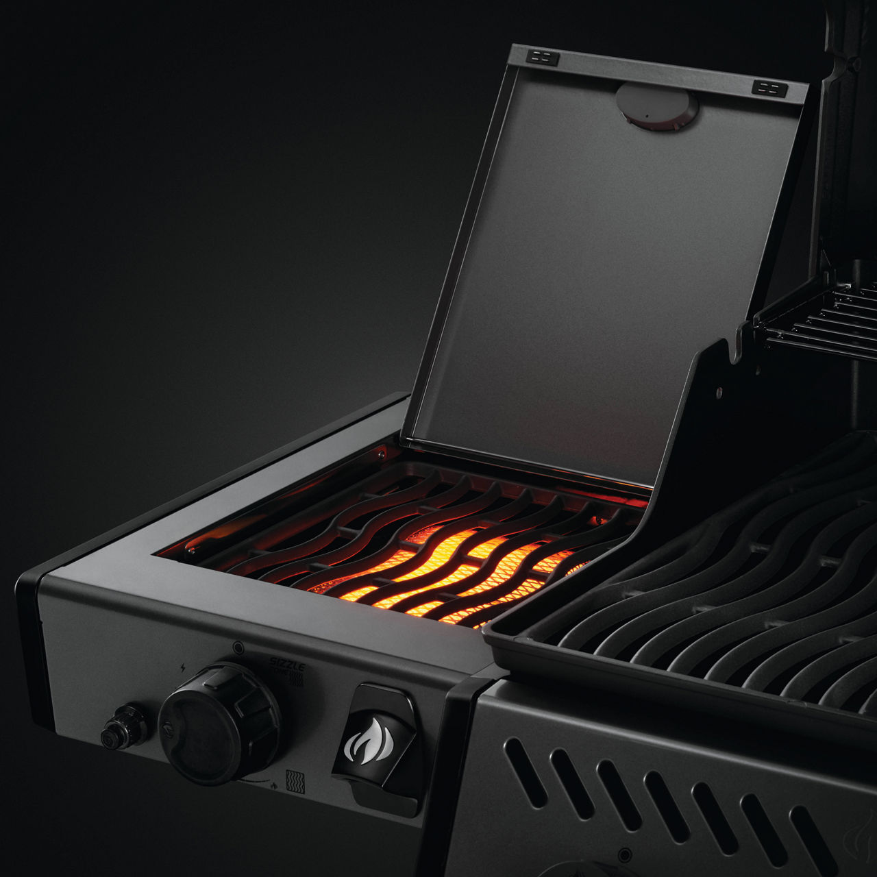  Propangasgrill F425DSIBPGT-DE 7