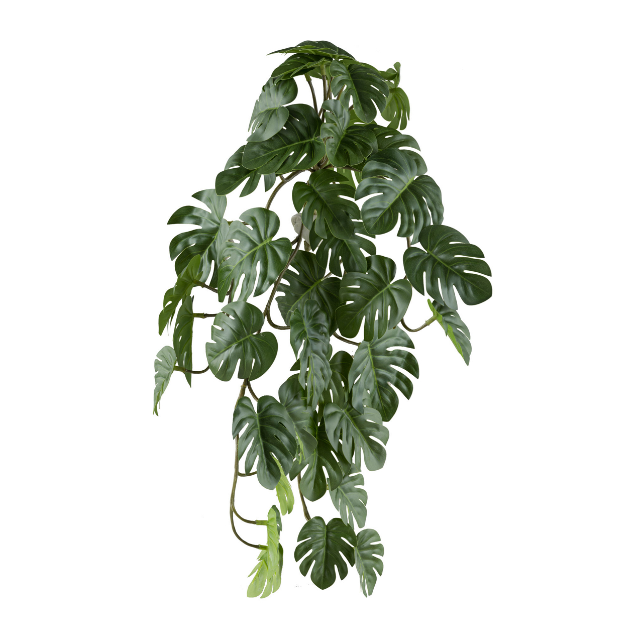 3324770-50 Splitphilodendron Hänger x4, 38 Bl., 48cm grün 