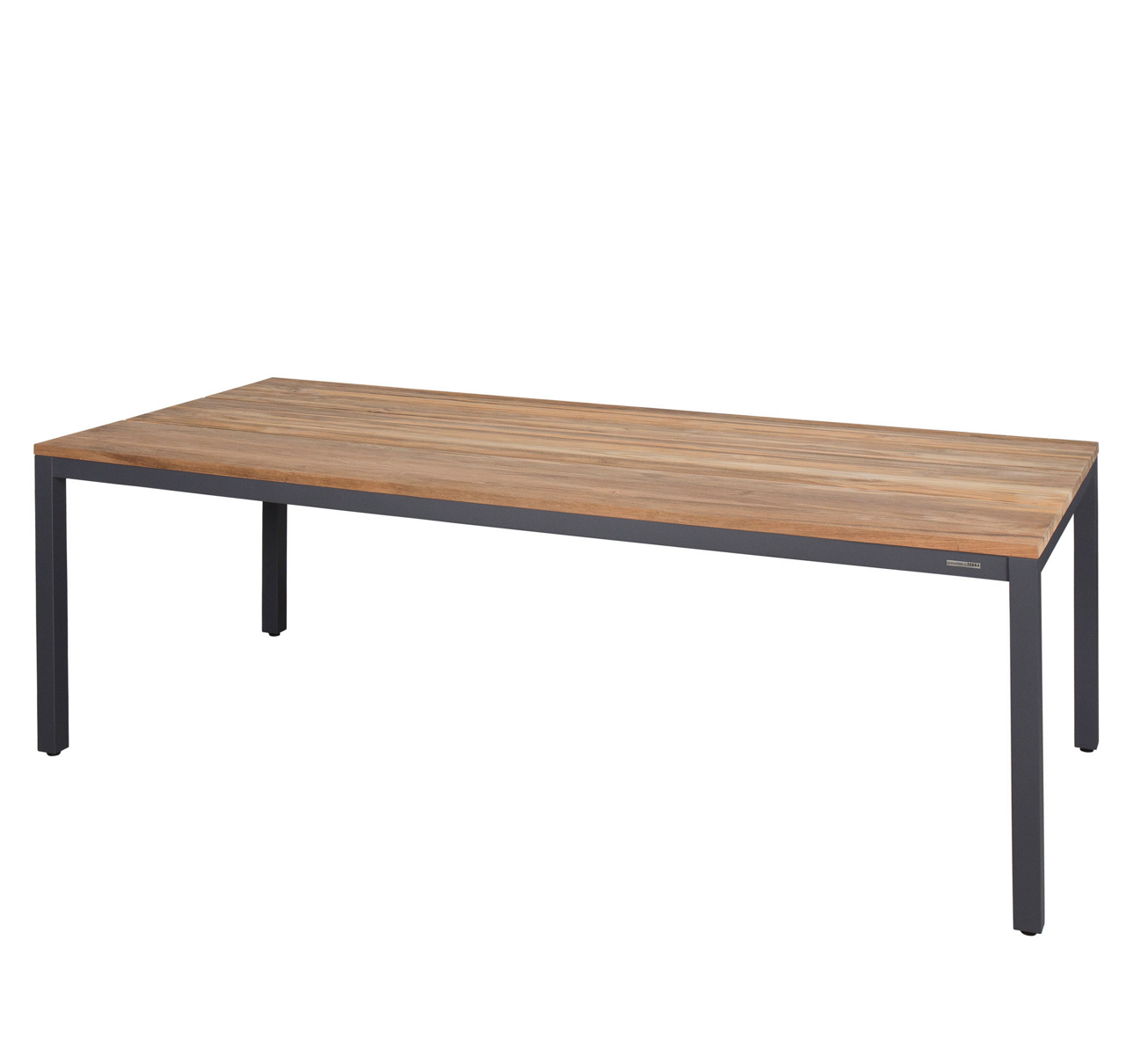  Tisch Alex