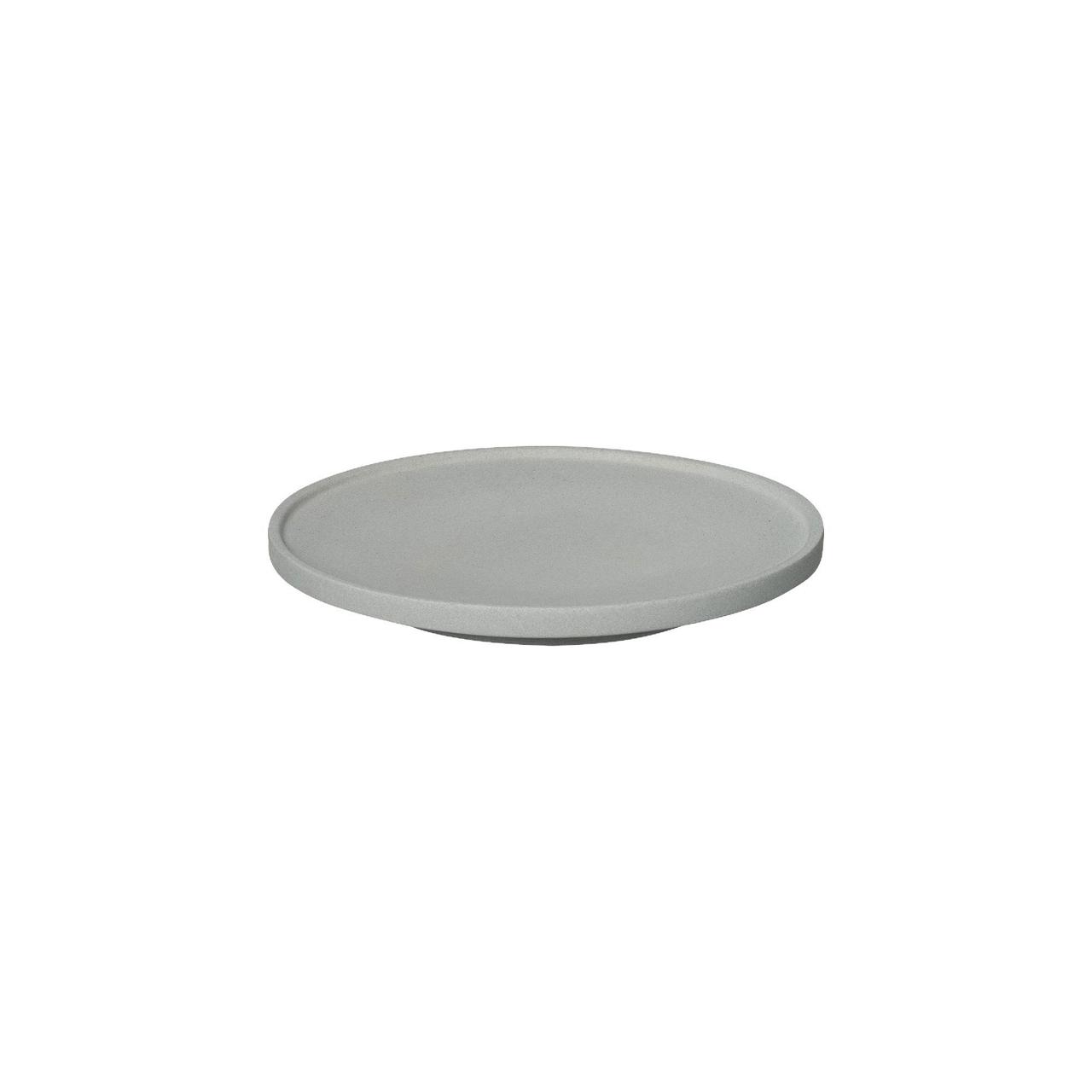 Micro Chip