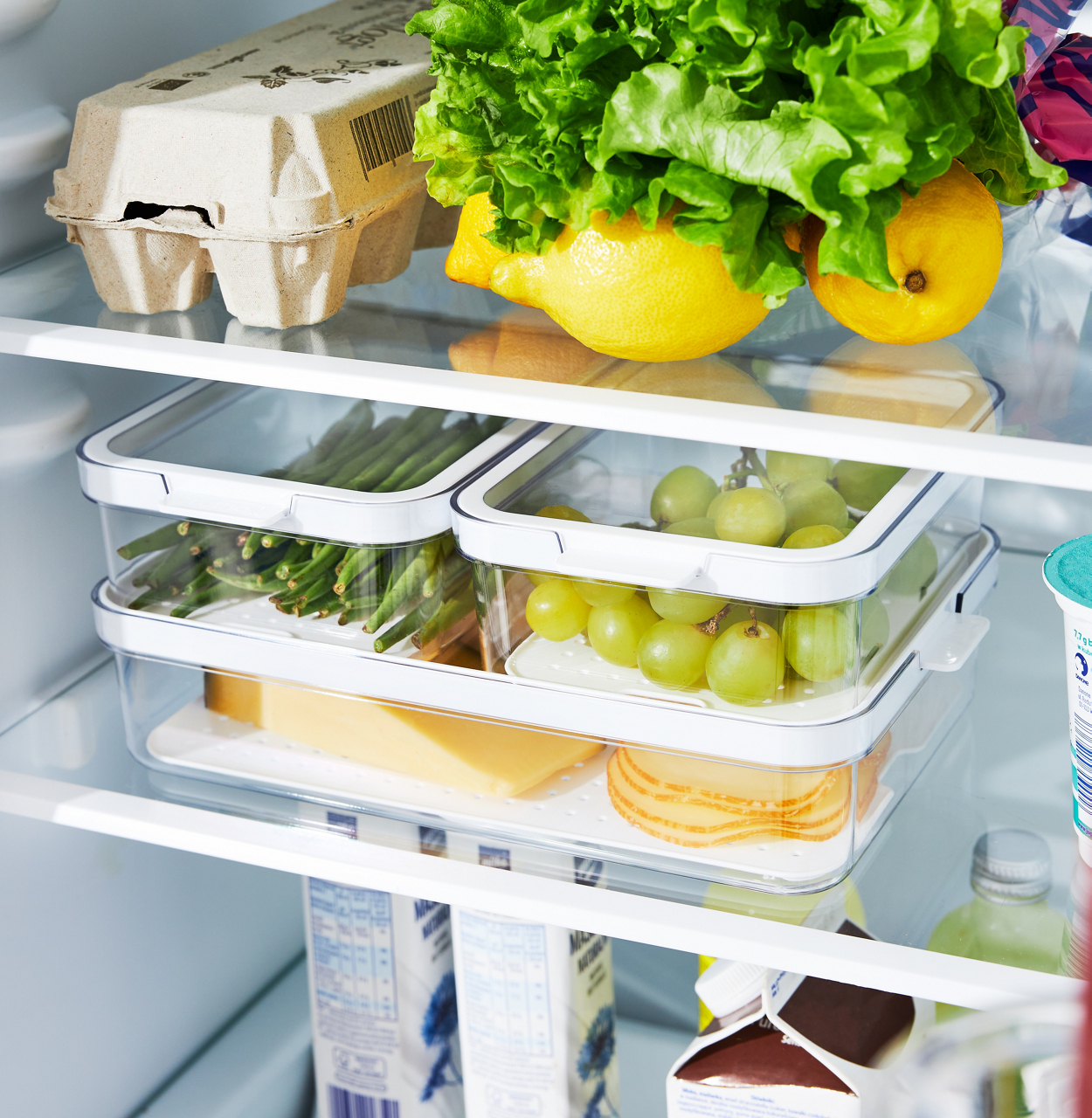 Rotho Kühlschrank-Organizer CAUMA