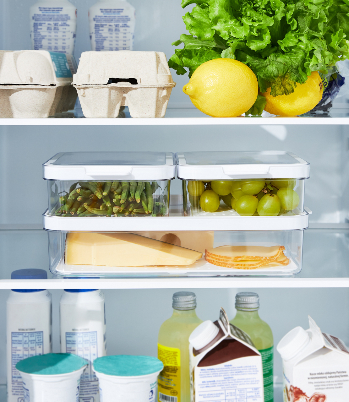 Rotho Kühlschrank-Organizer CAUMA