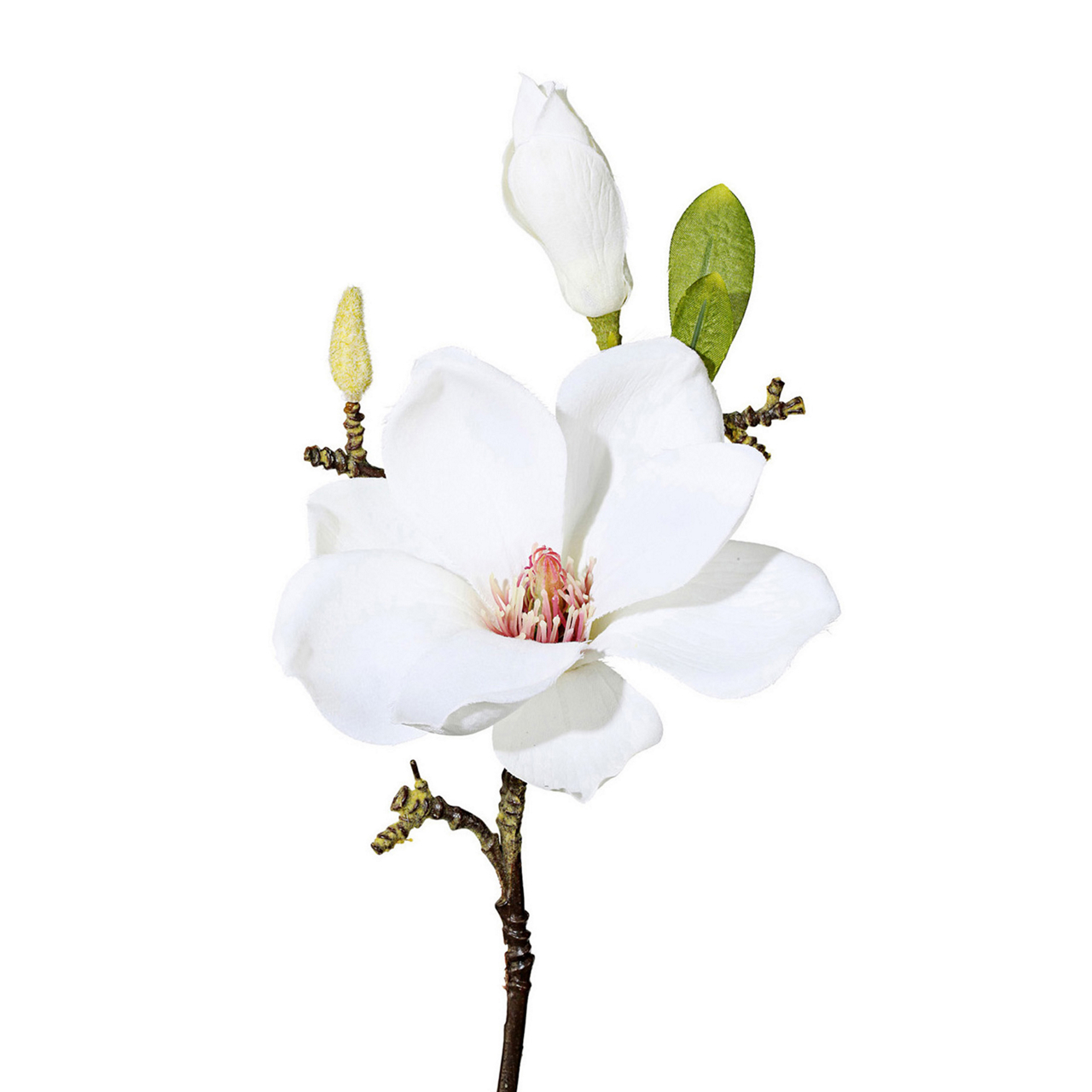  Magnolie 3/Bund Magnolie undefined