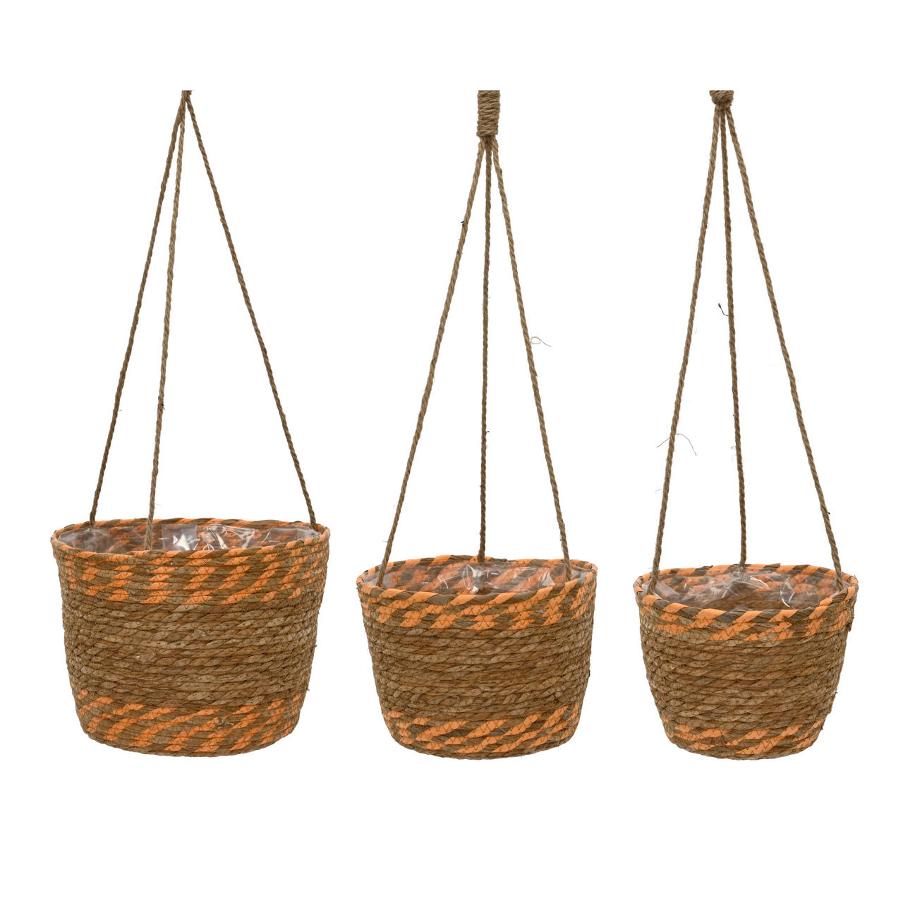 Decoris   1