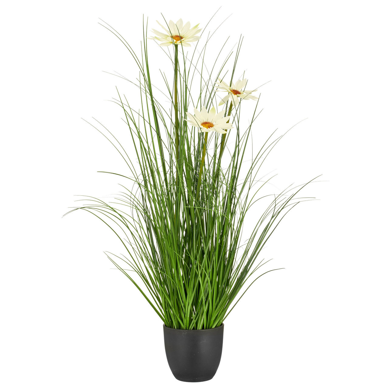  Gras mit Margeriten  undefined