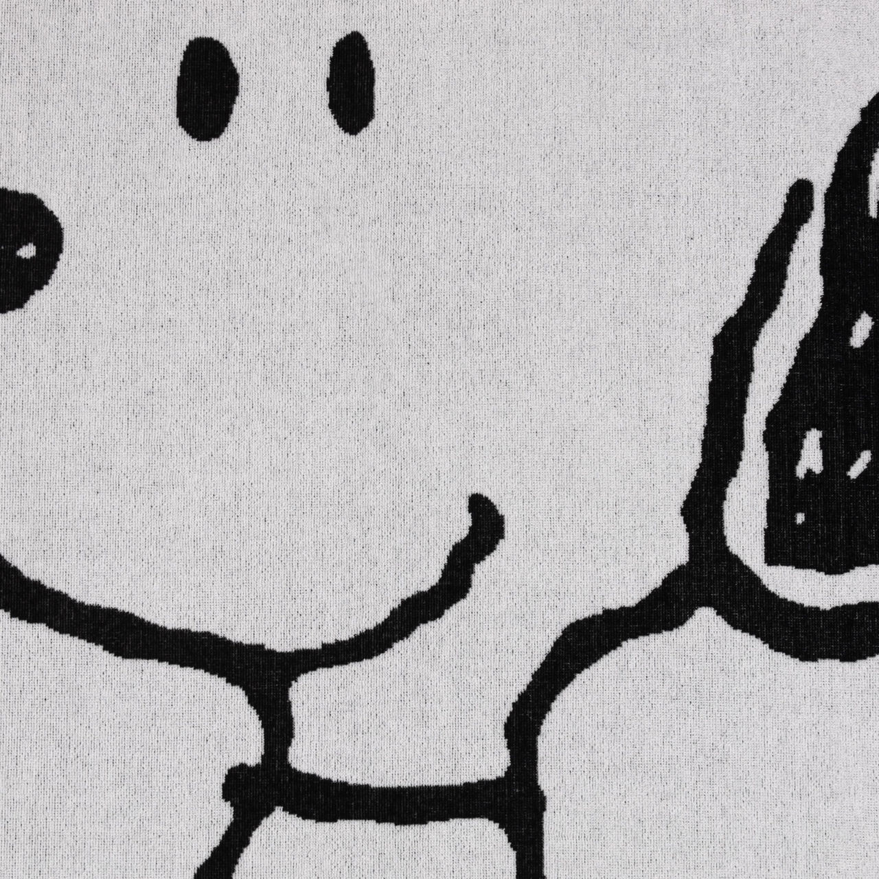 Vossen Strandtuch Snoopy Beach 1