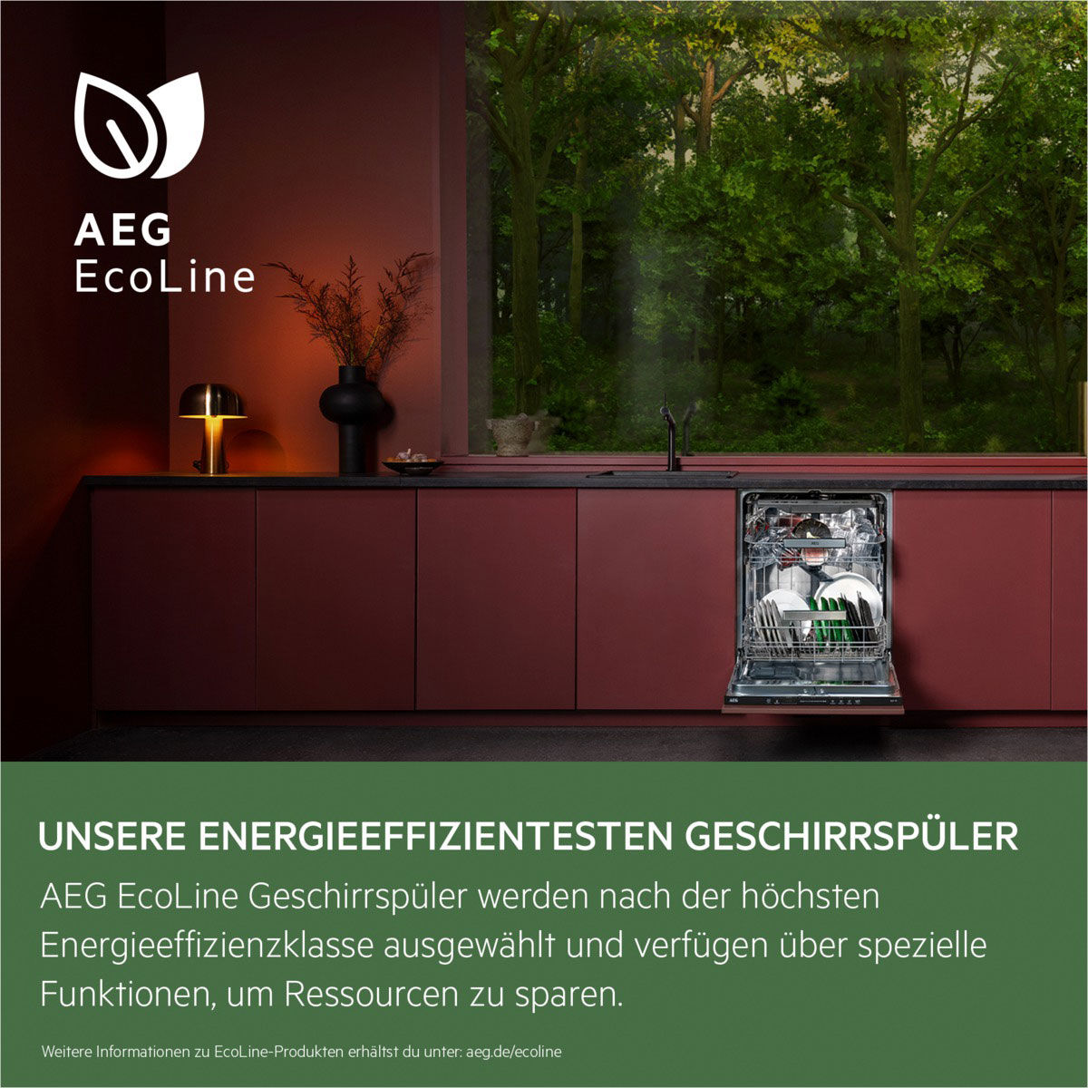  Geschirrspüler vollintegriert FSK64605Z Eco line 8