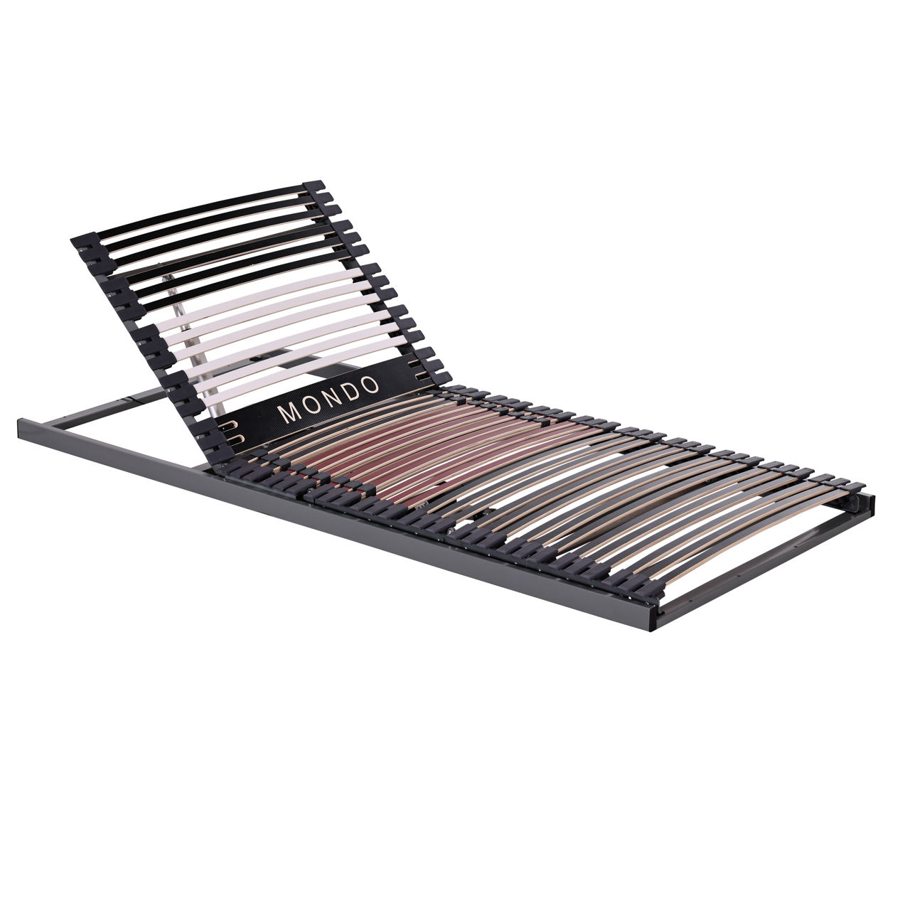 MONDO Lattenrost 100x200cm 2-motorig Siglia 1