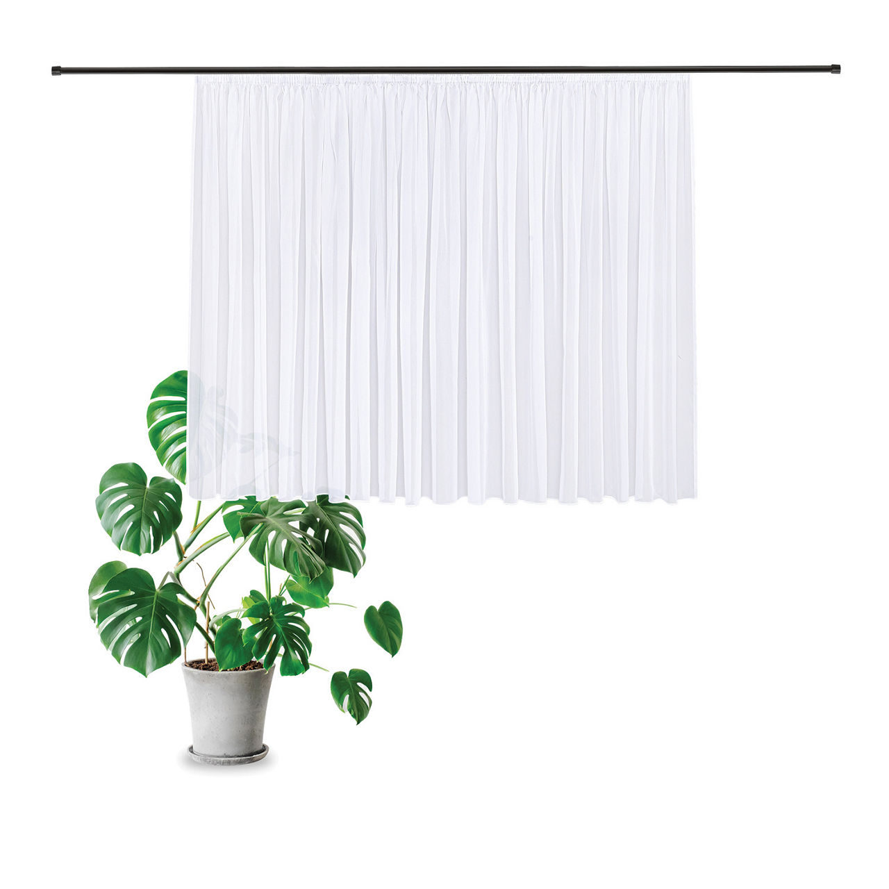  Store Effekt-Voile 1