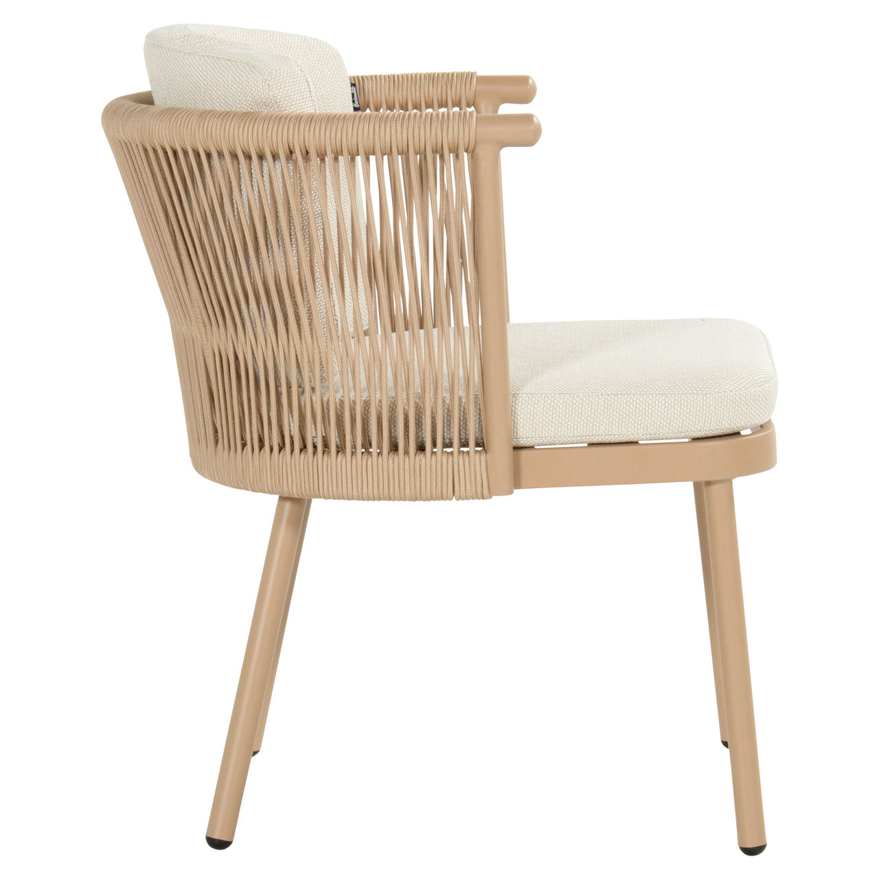  Dining Sessel Toledo 2