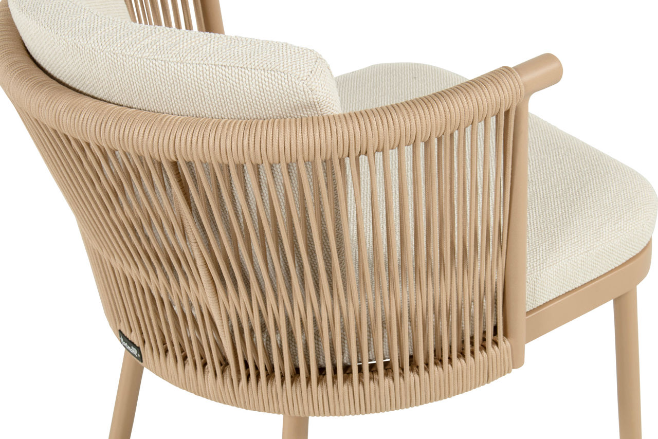  Dining Sessel Toledo 4