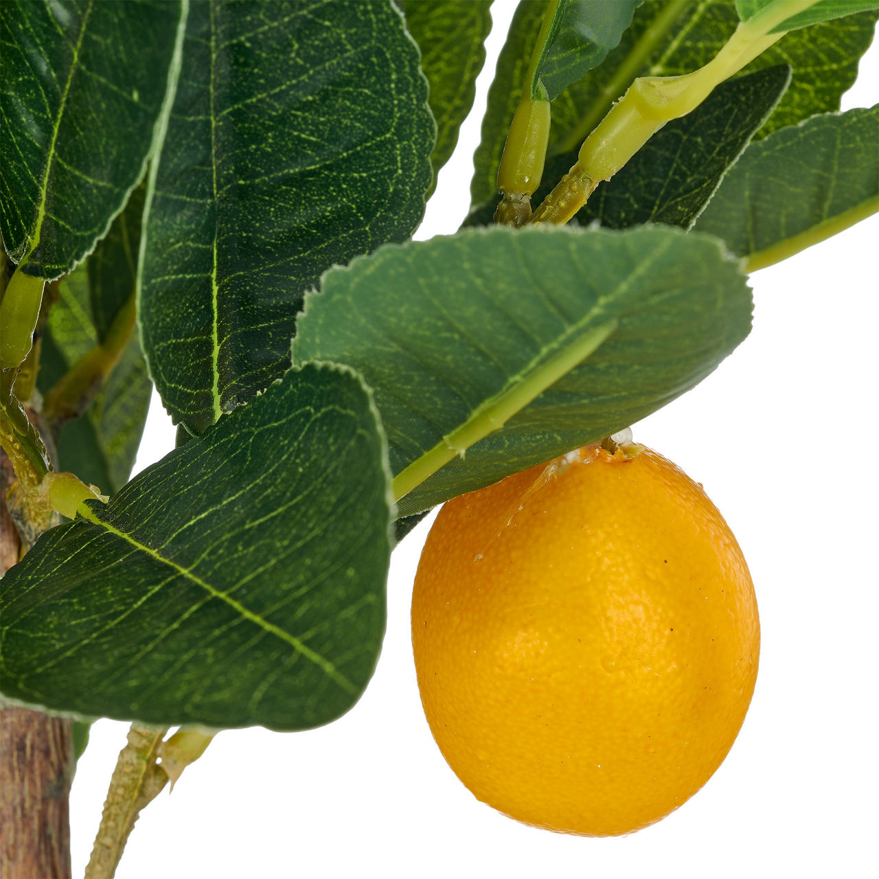  Zitronenbäumchen  undefined