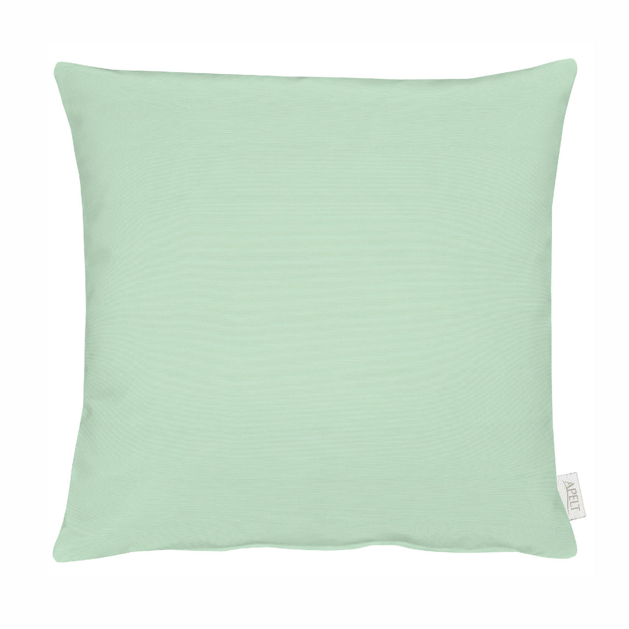 salbei / mint