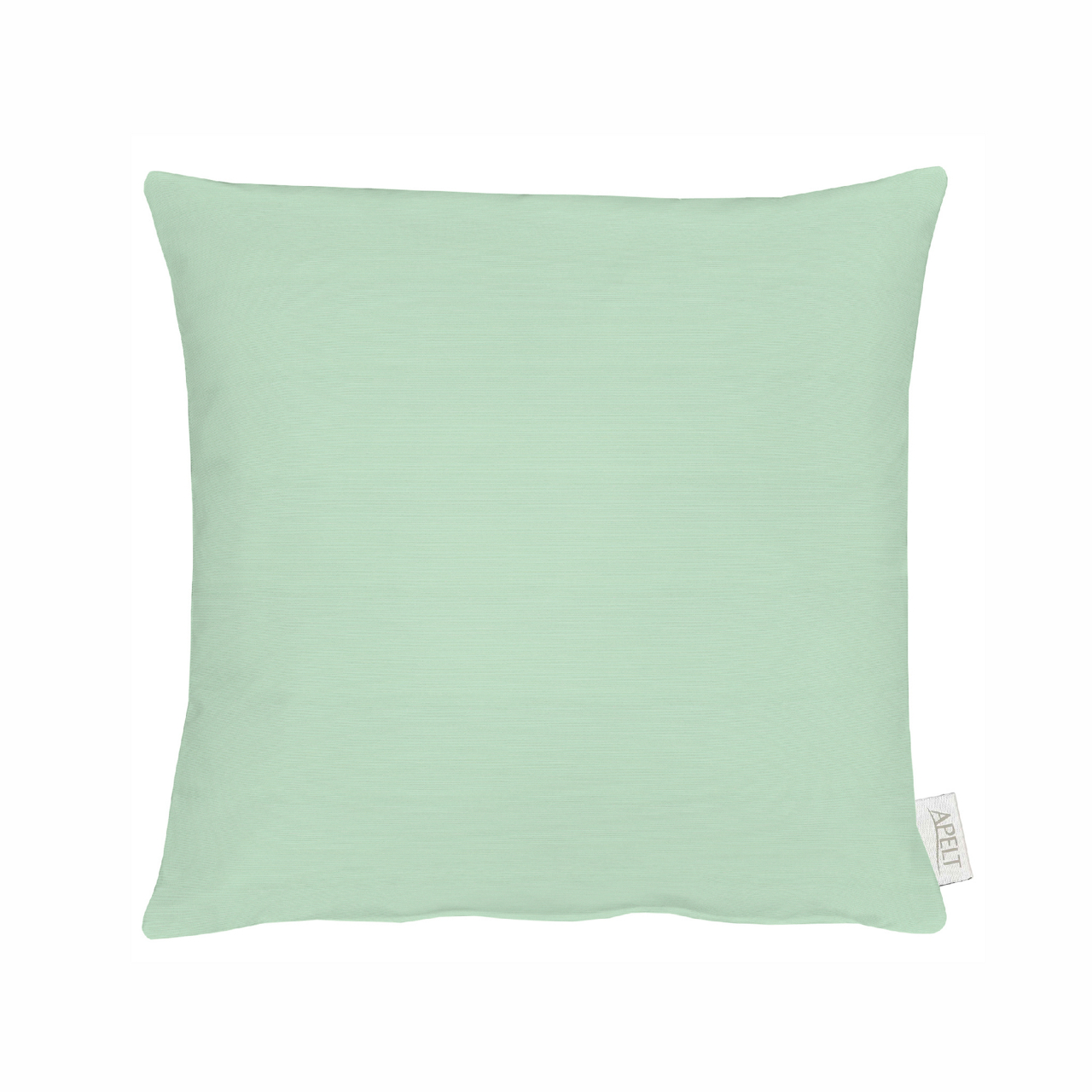 salbei / mint
